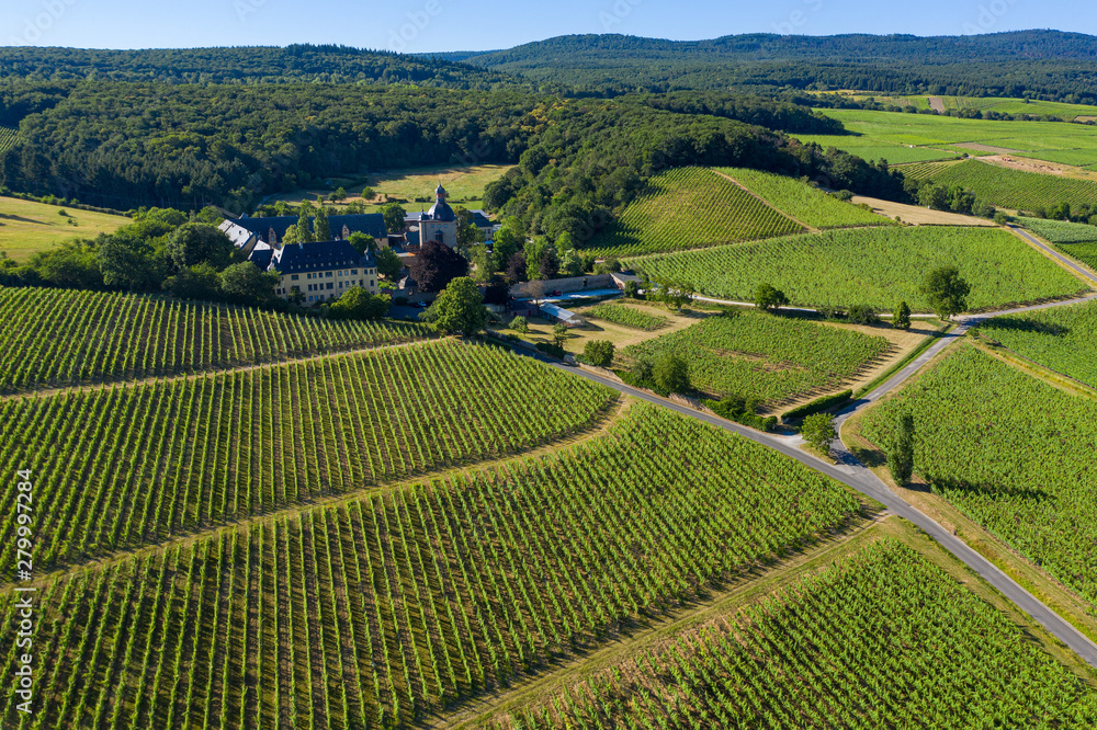 Blick von oben auf die Weinberge bei Oestrich-Winkel/Deutschland und Schloss Vollrads