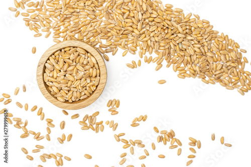 Lot of whole fresh beige dinkel wheat grain in a wooden bowl flatlay isolated on white background