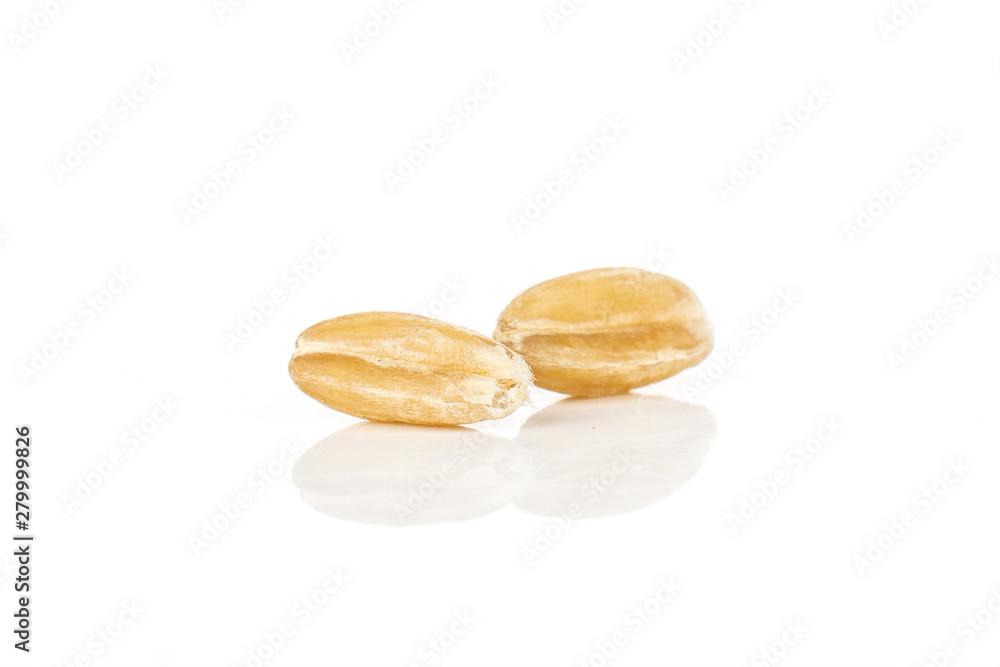 Group of two whole fresh beige dinkel wheat grain macro isolated on white background