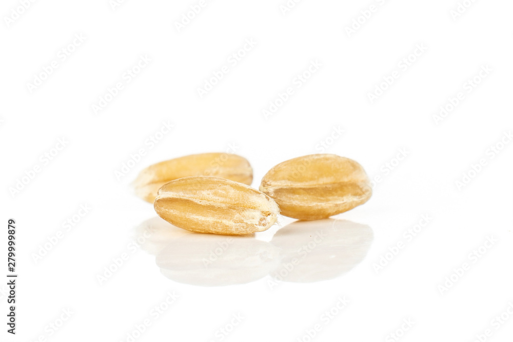 Group of three whole fresh beige dinkel wheat grain macro isolated on white background Group of three whole fresh beige dinkel wheat grain macro isolated on white background