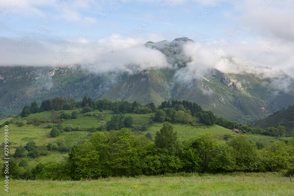 Fototapeta premium Picos de Europa