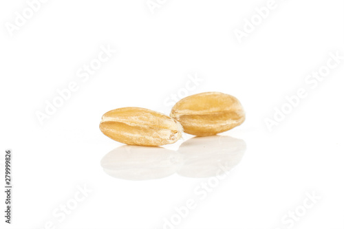 Group of two whole fresh beige dinkel wheat grain macro isolated on white background