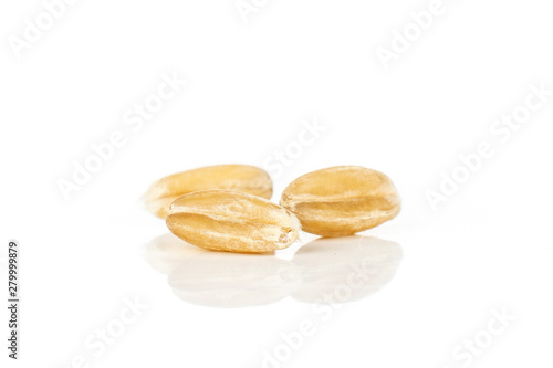 Group of three whole fresh beige dinkel wheat grain macro isolated on white background