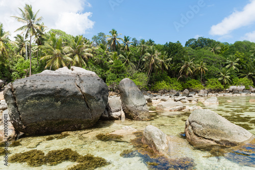 Seychelles coast view of rocks and seaweed