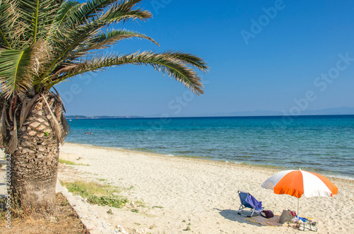 Summer Scene – Polychrono, Aegean Coast – Greece photo
