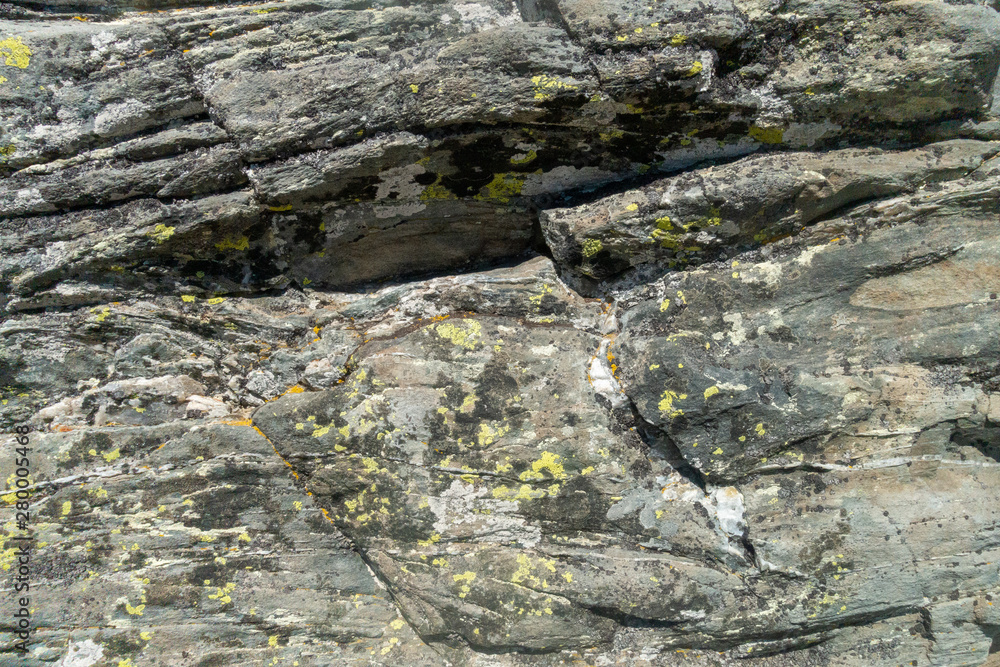 Obraz premium Stone texture - details, background and texture image