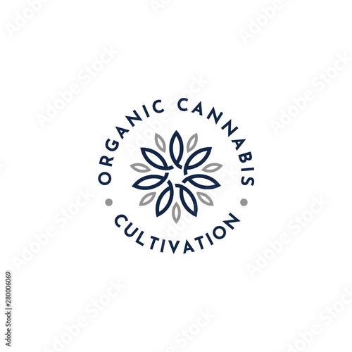 7 Seven Pointed Star Infinity Leaf Flower Beauty Floral Label Logo Design