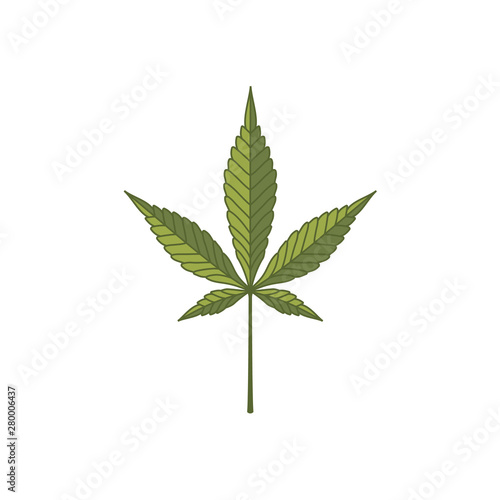 Vintage retro cbd cannabis marijuana hemp pot leaf farm cultivation logo design