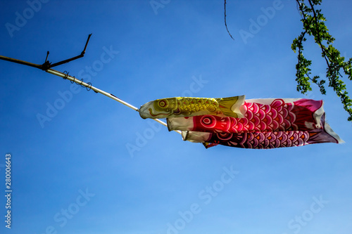 In Children's Day, Japanese raise the carp streamers called 