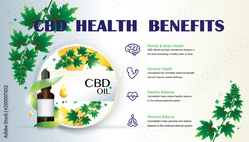 cbd health benefits,CBD hemp oil in your supplement regimen,vector infographic icon on white background and poster.