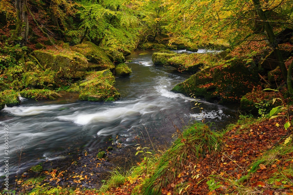 A beautifully river flowing autumn forest A beautifully river flowing autumn forest