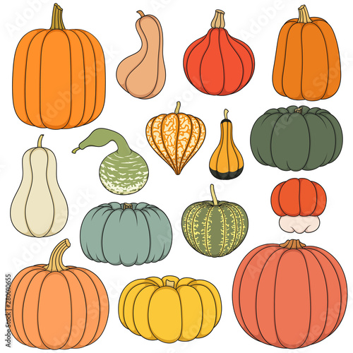 Set of color illustrations with pumpkins of different shapes and varieties. Isolated objects on white background.