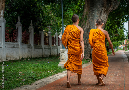 Fotografija Back side image of two monks