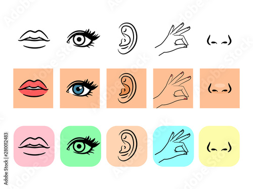 Senses icons. Five human illustrative senses vector illustration, taste and smell, line and color icons