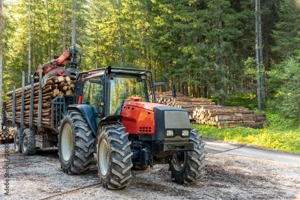 Forklift truck grabs wood in wood processing plant, pine forest, Europe Forklift truck grabs wood in wood processing plant, pine forest, Europe