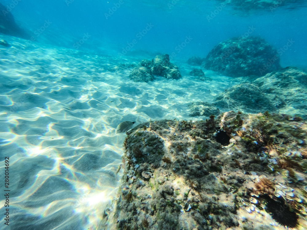 Underwater view of the rocks, sand and stones. The sandy and rocky bottom of the sea with some sun rays. Underwater view of the rocks, sand and stones. The sandy and rocky bottom of the sea with some sun rays.