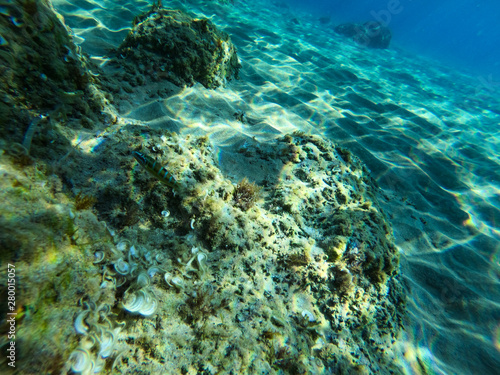 Underwater view of the rocks  sand and stones. The sandy and rocky bottom of the sea with some sun rays.
