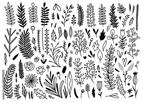 Floral hand drawn vector collection. Beautiful flowers, plants and leaves on white background. Cute botanical set