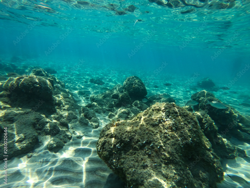 Obraz premium Underwater view of rocks and stones at the bottom of the sea.