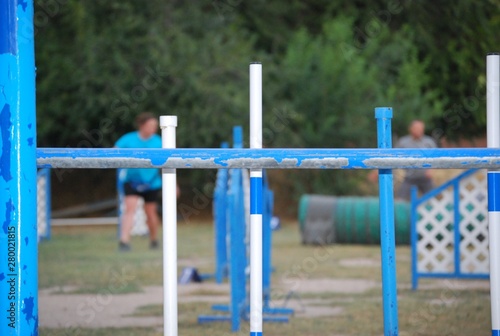 Canine Agility Course, Dog Activity