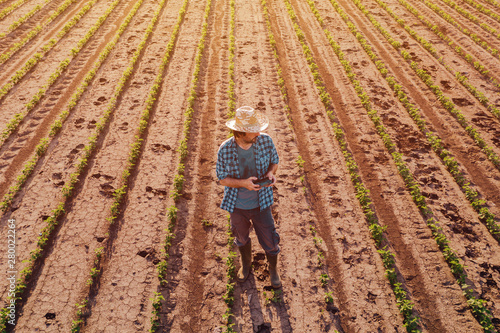 Farmer with drone remote controller in soybean field, aerial view