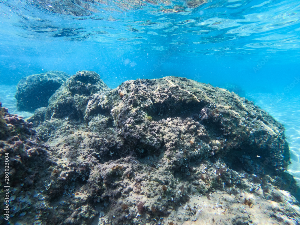 Obraz premium Underwater view of sea bottom with sand, rocks and stones..