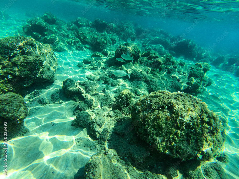 Fototapeta premium Underwater view of sea bottom with sand, rocks and stones..