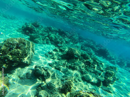 Fototapeta Naklejka Na Ścianę i Meble -  Underwater view of sea bottom with sand, rocks and stones..