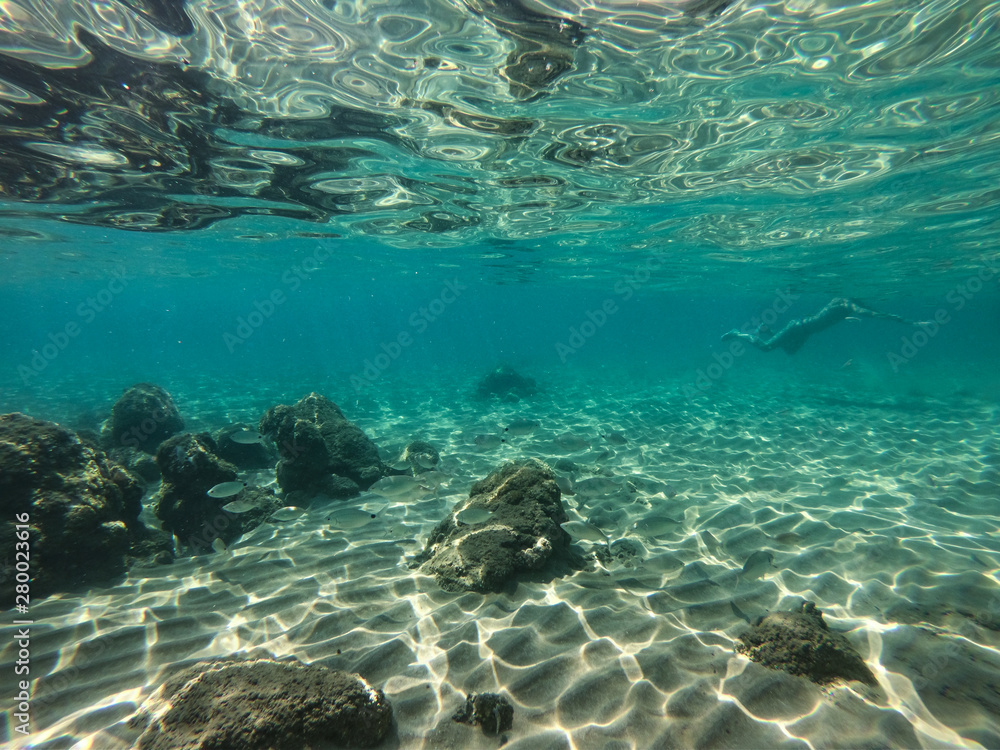 Fototapeta premium Underwater view of sea bottom with sand, rocks and stones..