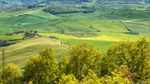 Landscape with a cypresses near Pienza town in Val d'Orcia region of Tuscany, Italy.