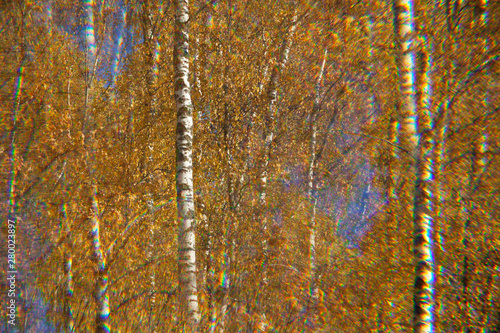 Autumn background with yellow birch trees through the filter polygonal lens, abstraction