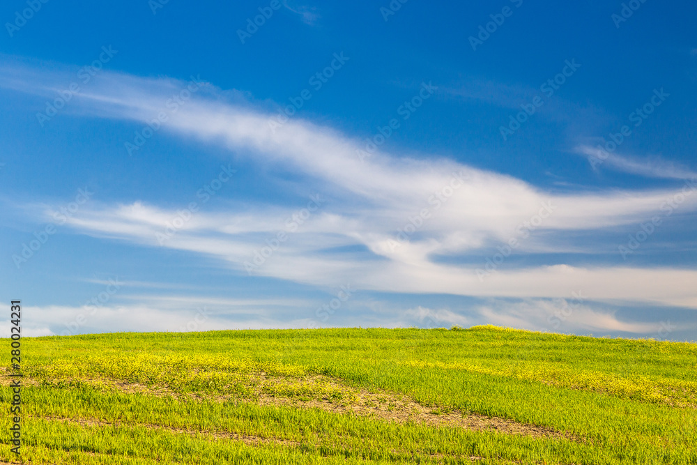 Sky with clouds above a grassy meadow.
