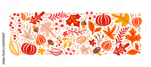Vector autumn elements. Mushroom, acorn, maple leaves and pumpkin isolated on...