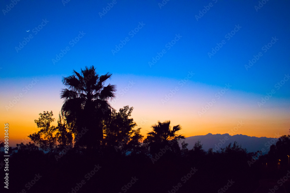 Beautiful tropical landscape with silhouettes of palm trees and mountains at sunset.