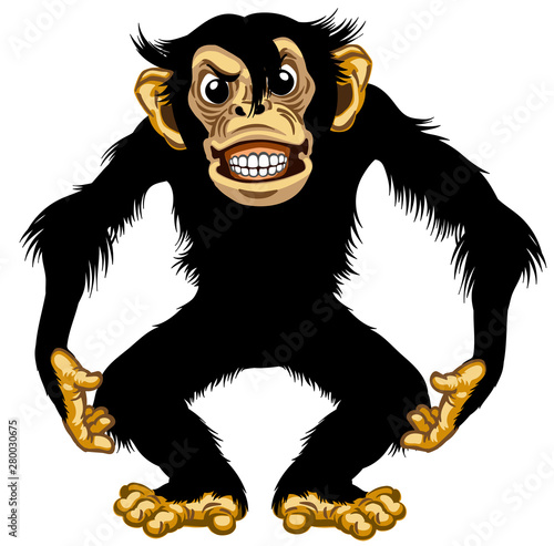 Cartoon chimpanzee great ape standing in furious aggressive pose. Angry chimp monkey showing his teeth. Isolated vector illustration