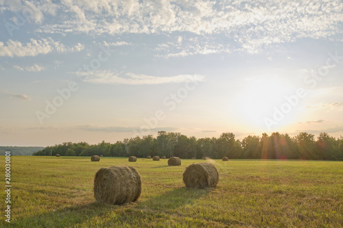 roll of hay on the field in sunset light. Agriculture © Eduard Vladimirovich