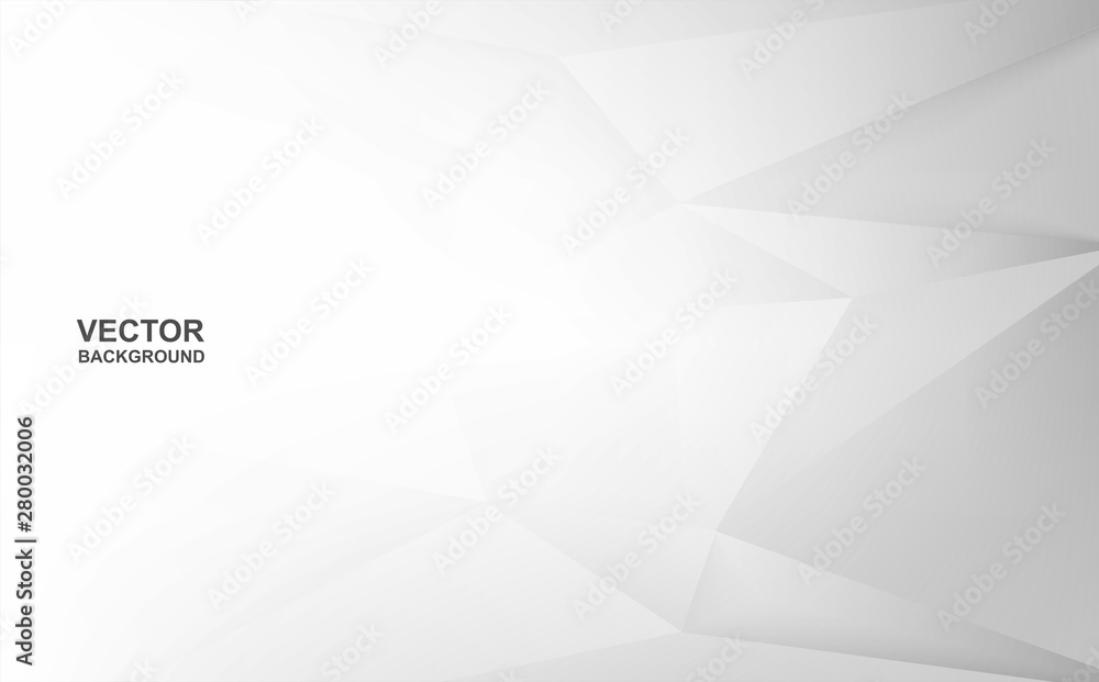 Obraz premium Abstract .Modern background. White polygon background. vector.