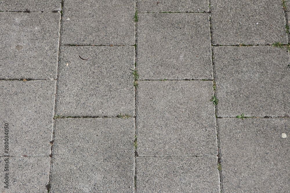Obraz premium Abstract background with paving slabs and weed on an urban walkway