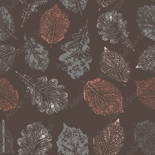 colored pattern of oak and hazel tree leaves on brown background photo