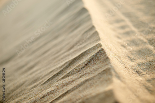 Sindu-ri Coastal Sand Hills in Taean-gun, South Korea. photo