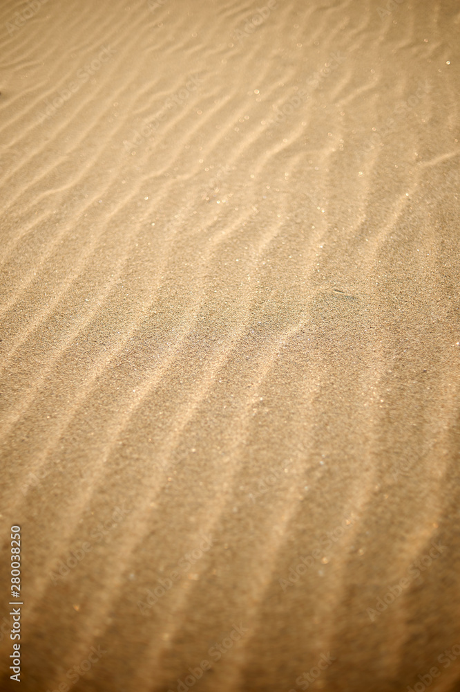 Sindu-ri Coastal Sand Hills in Taean-gun, South Korea. Sindu-ri Coastal Sand Hills in Taean-gun, South Korea.