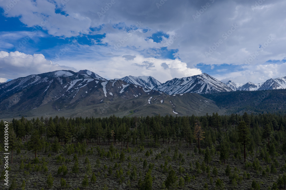 Fototapeta premium Aerial view over a forest near Mammoth Lakes in California 