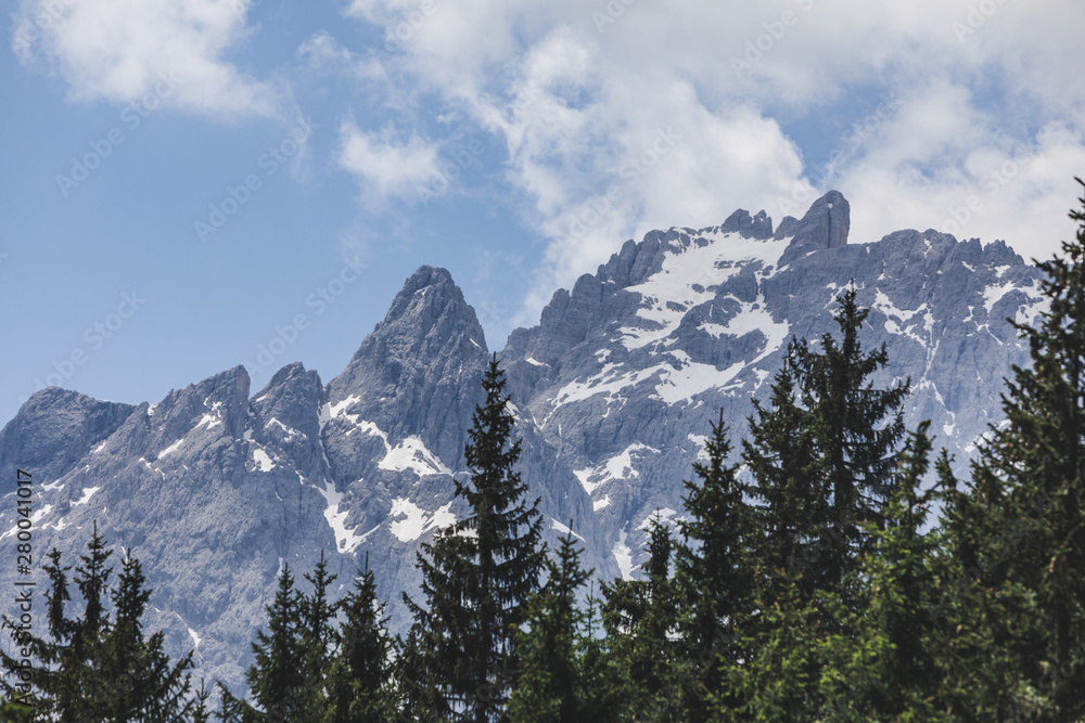 landscape view of alps mountains peak fir tree on background landscape view of alps mountains peak fir tree on background