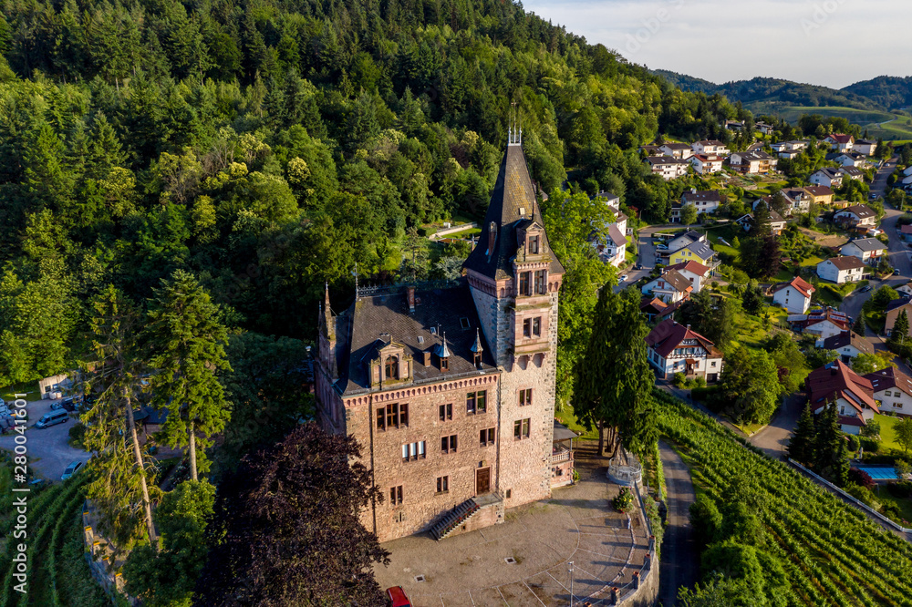 Aerial view of old feudal castle Burg Rodech
