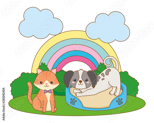 Cat and dog cartoon design vector illustrator