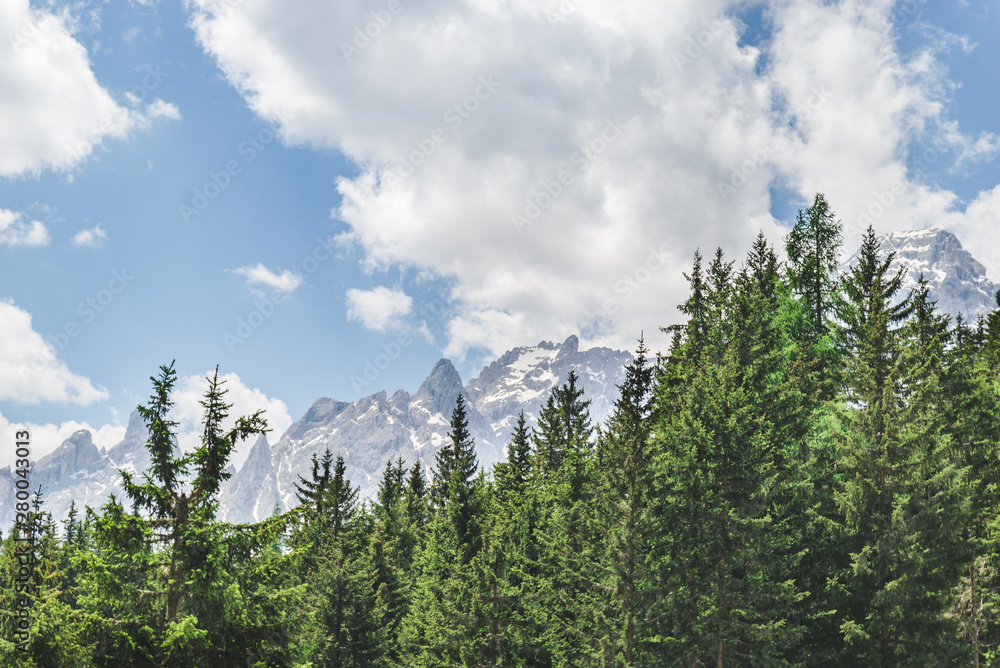 landscape view of alps mountains peak fir tree on background landscape view of alps mountains peak fir tree on background