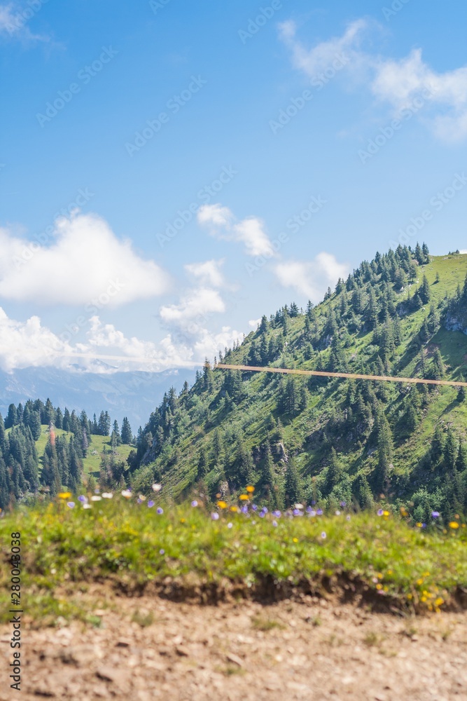 Beautiful swiss alps mountains. Alpine meadows.