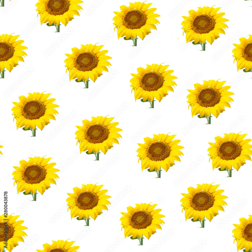 Seamless pattern with large bright sunflowers on a white background. Seamless pattern with large bright sunflowers on a white background.