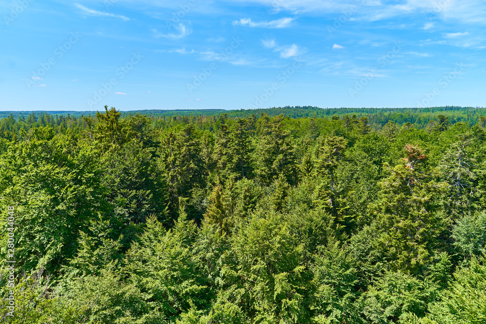 Naklejka premium Panoramic view over Black Forest in Germany