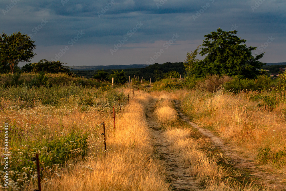 Obraz premium Der Weg